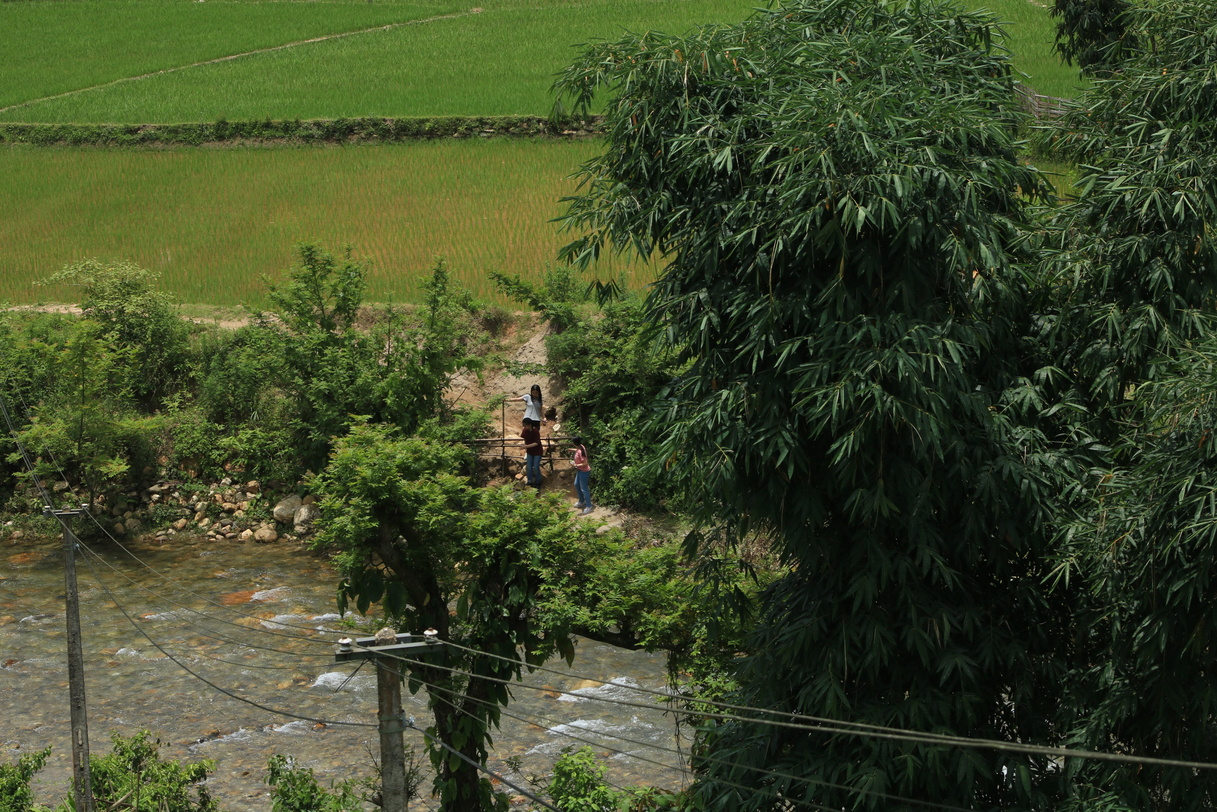 A river valley and rice terraces in Trạm Tấu